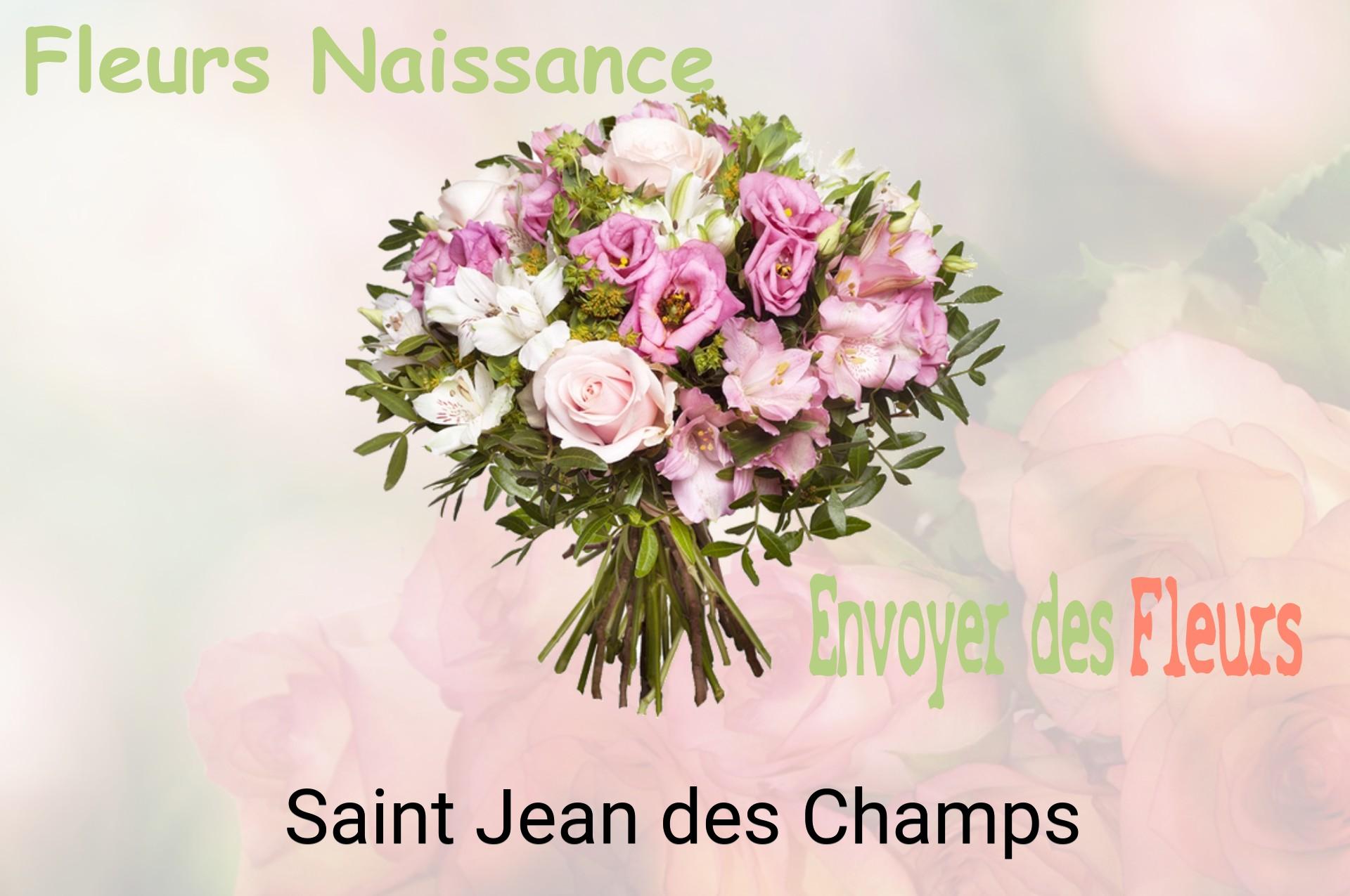 Bouquet de fleurs de naissance livré à Saint-Jean-des-Champs